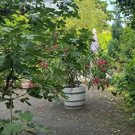 Alojamento de Acomodação e Pequeno-almoço Zur Erholung Bad Breisig