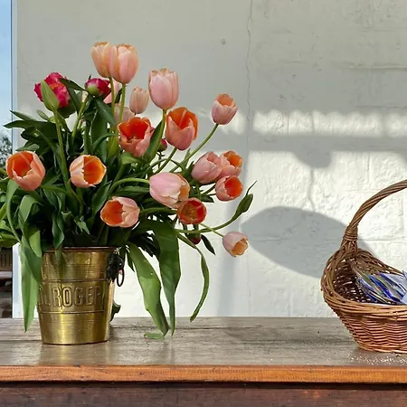 Zur Erholung 3* Bad Breisig