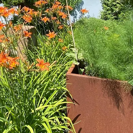 Zur Erholung Bad Breisig