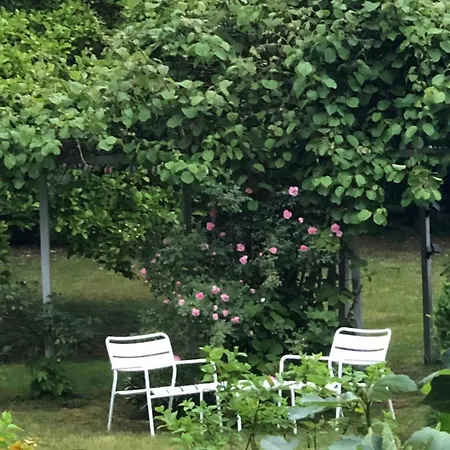 Zur Erholung Bed & Breakfast 3*