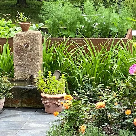 Zur Erholung Bed & Breakfast 3*