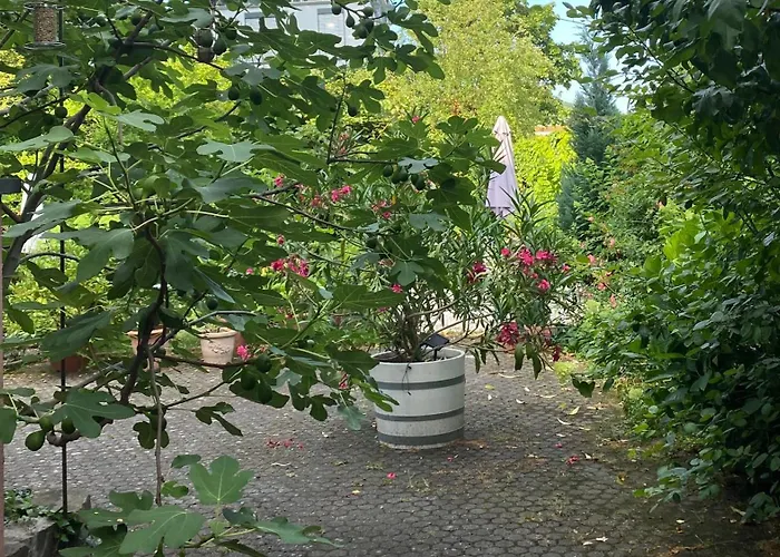 Couette-café Zur Erholung Bad Breisig