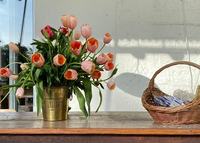 Zur Erholung 3* Bad Breisig