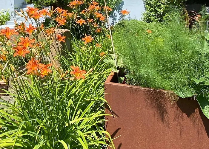 Zur Erholung Bad Breisig